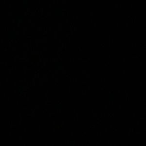 Meet your Posher, Mojca